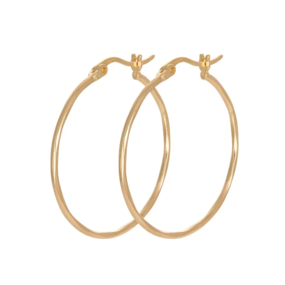 Øreringe / Hoops / Stor