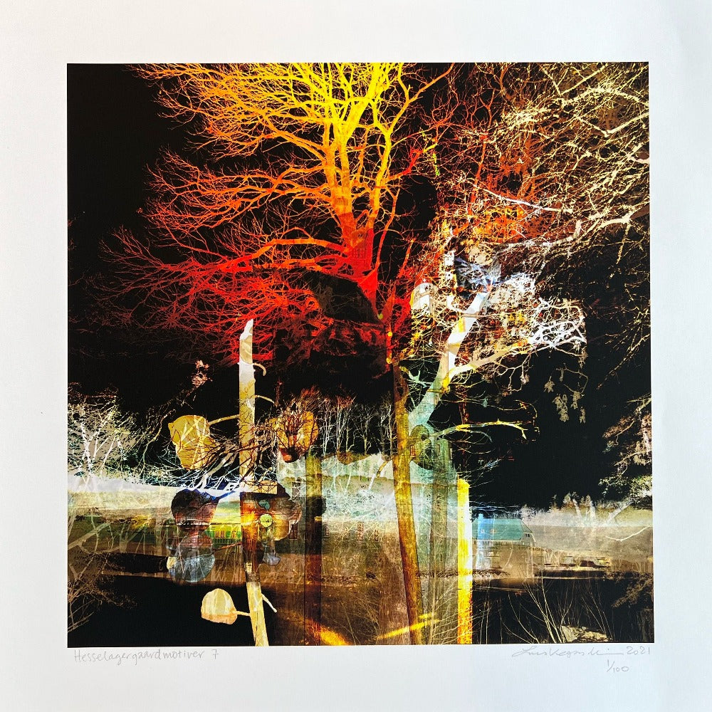 Kunsttryk / Hesselagergaard Motiver 7 / Lars Vegas. Unikt kunsttryk af Lars Vegas. Intens fotokunst med varme farver, dybde og lag – perfekt til en personlig og karakterfuld indretning.