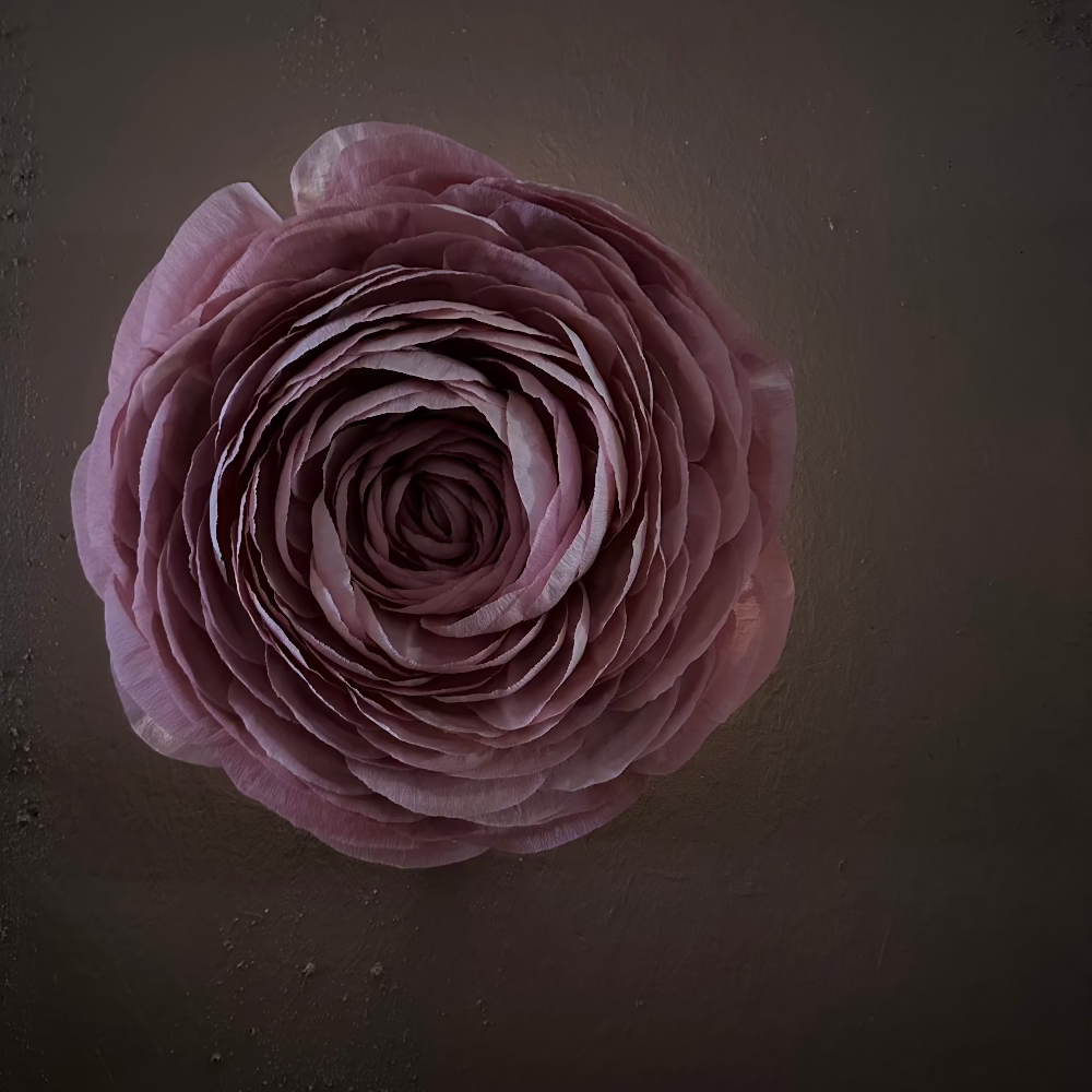 Væglampe / Blomst / Rosa