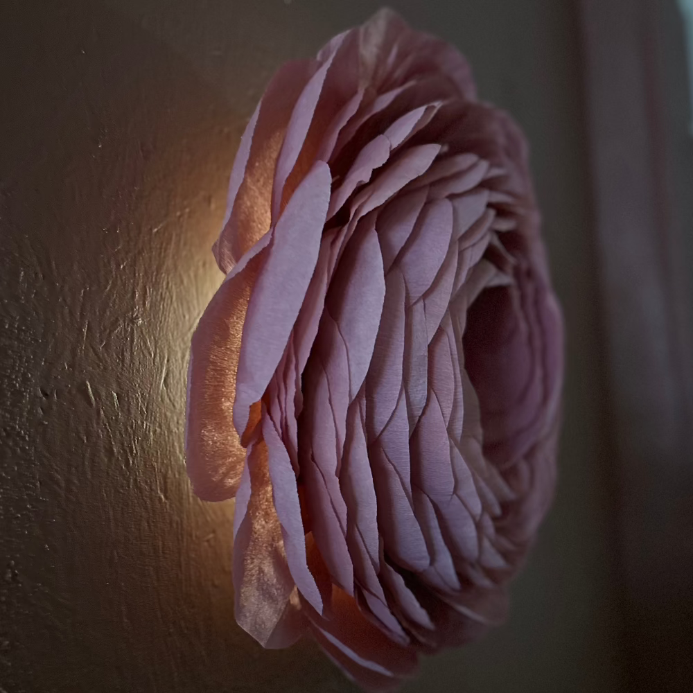 Væglampe / Blomst / Rosa
