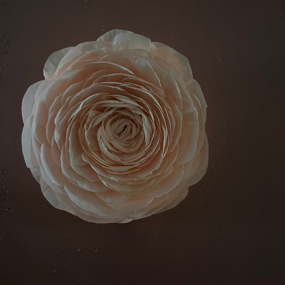 Væglampe / Blomst / Ferskenfarvet