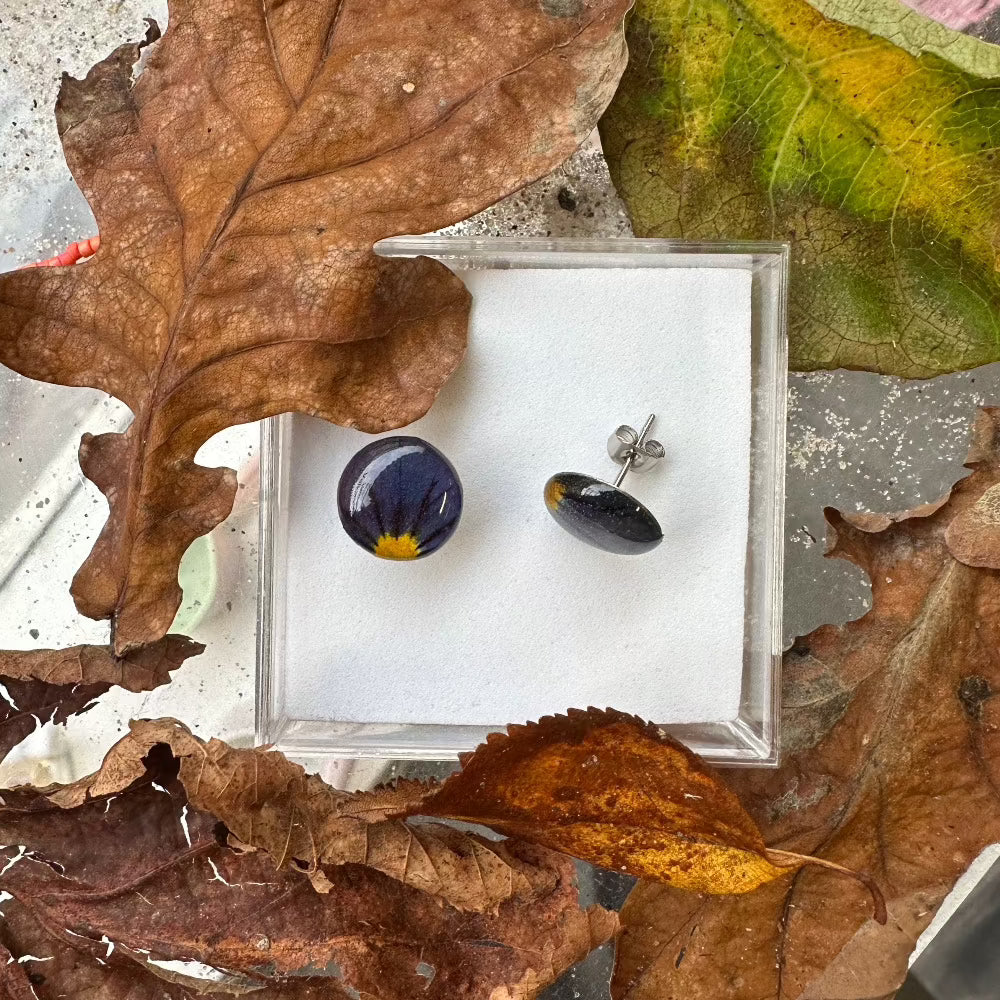 Ørestikker / Venation / Lilla Blomst / Stor. - Ørestikker oppefra.