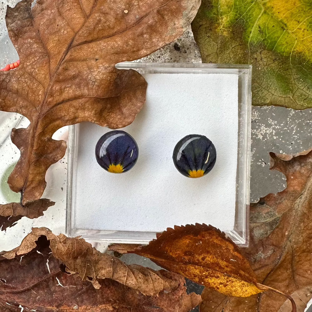 Ørestikker / Venation / Lilla Blomst / Stor. - Ørestikker oppefra.