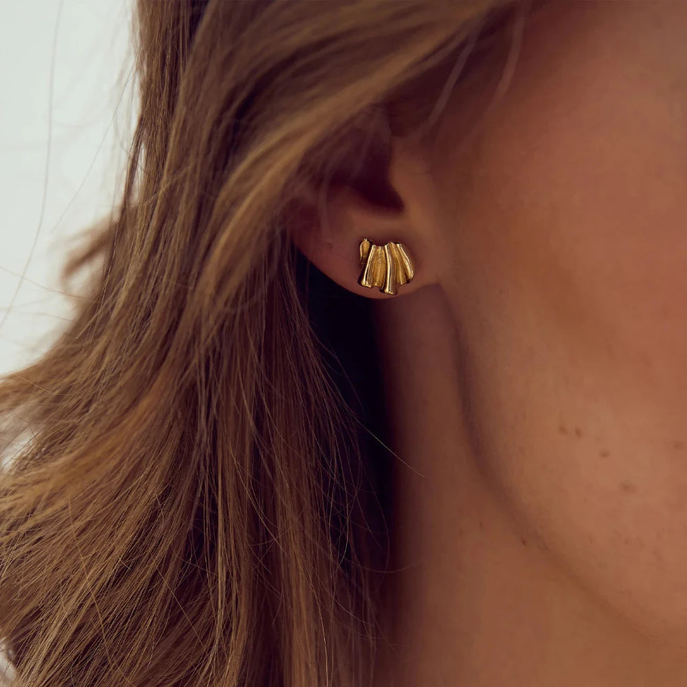 Ørestikker / Frigg / Lille