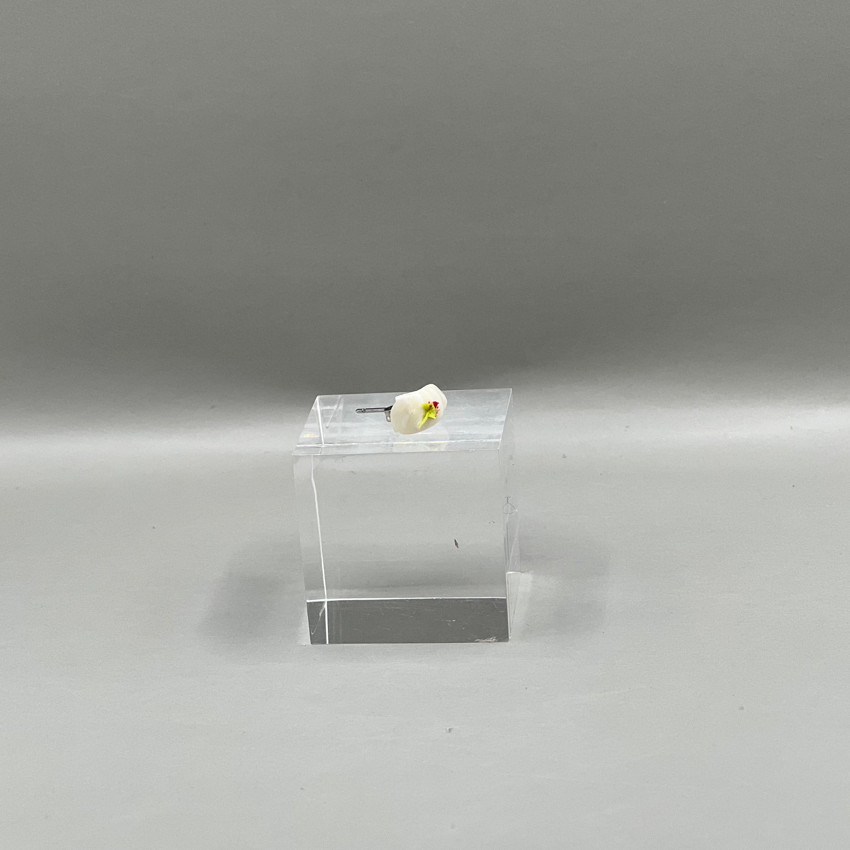 Øreringe / Sushi m. hvidfisk