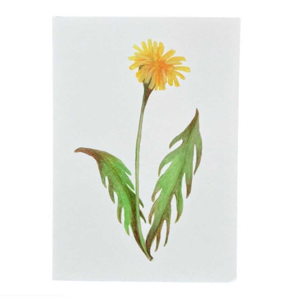 Gul blomst / Kort