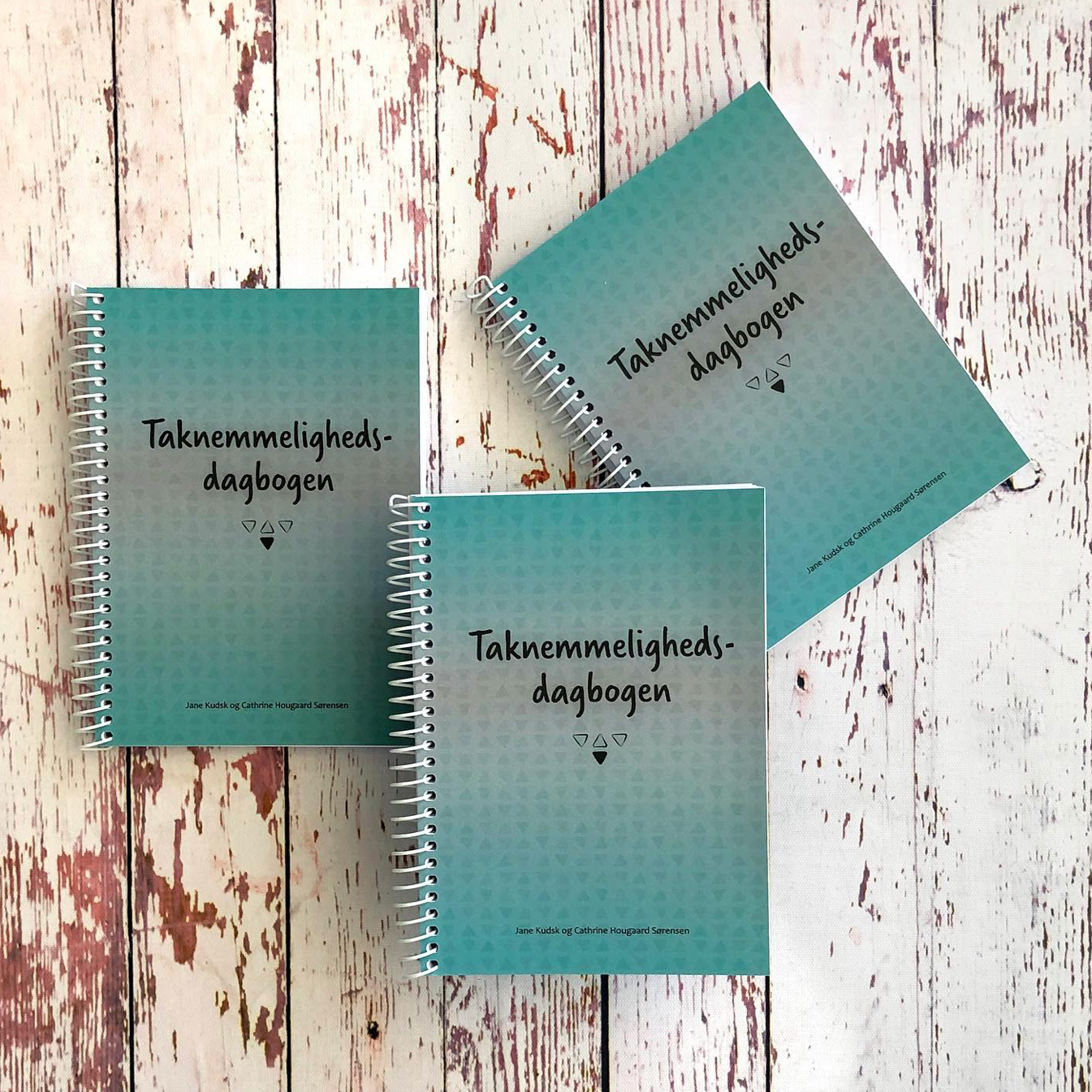 My Pocket of Time - Taknemlighedsdagbogen