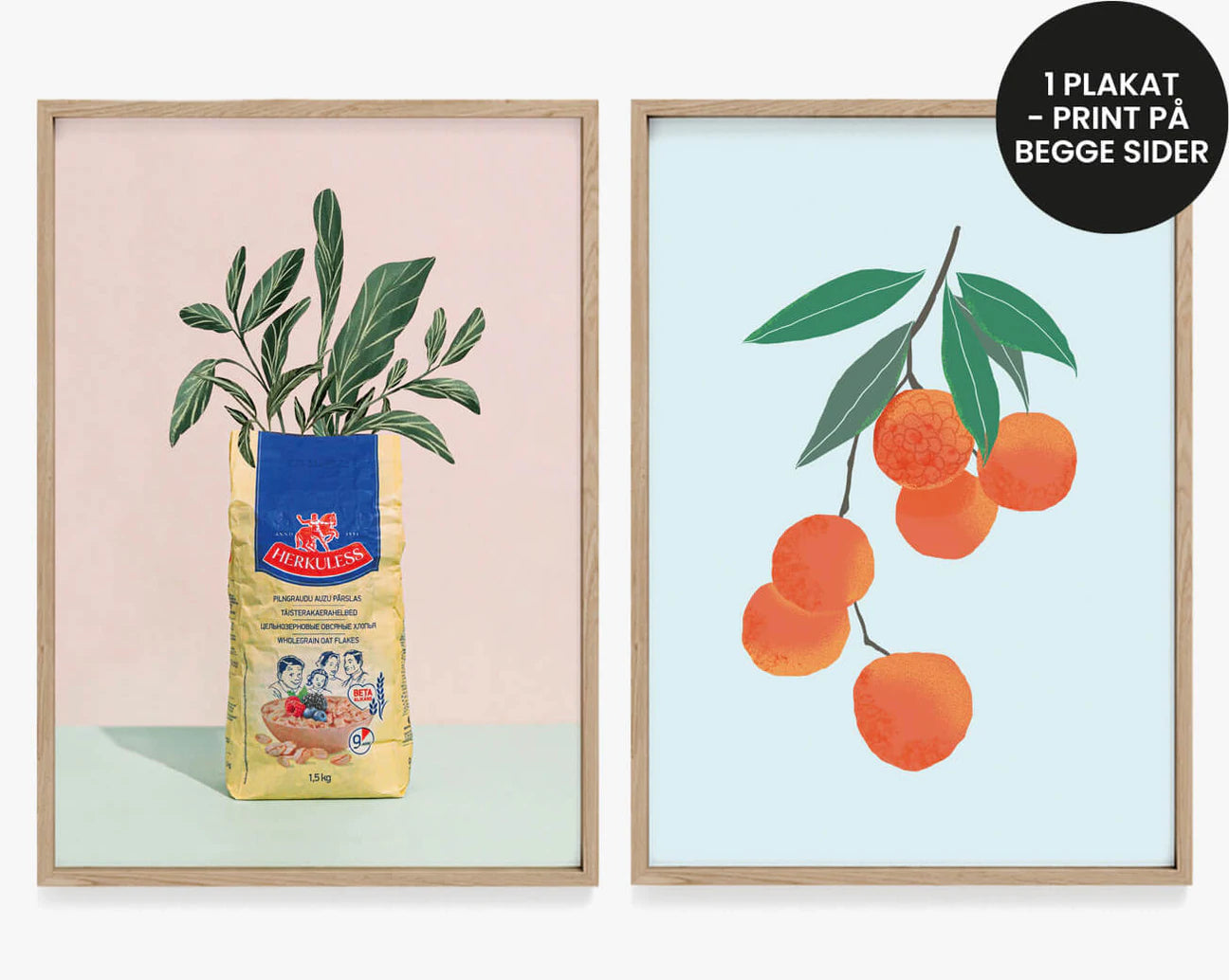 2 i 1 plakat / Grow & Plant