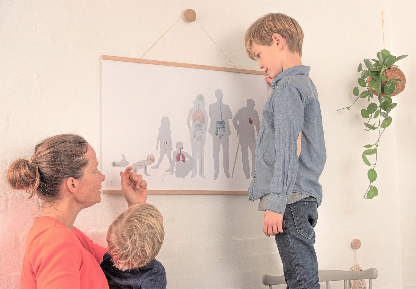 Designed Learning Krops plakat & 5-i-1 kortspil