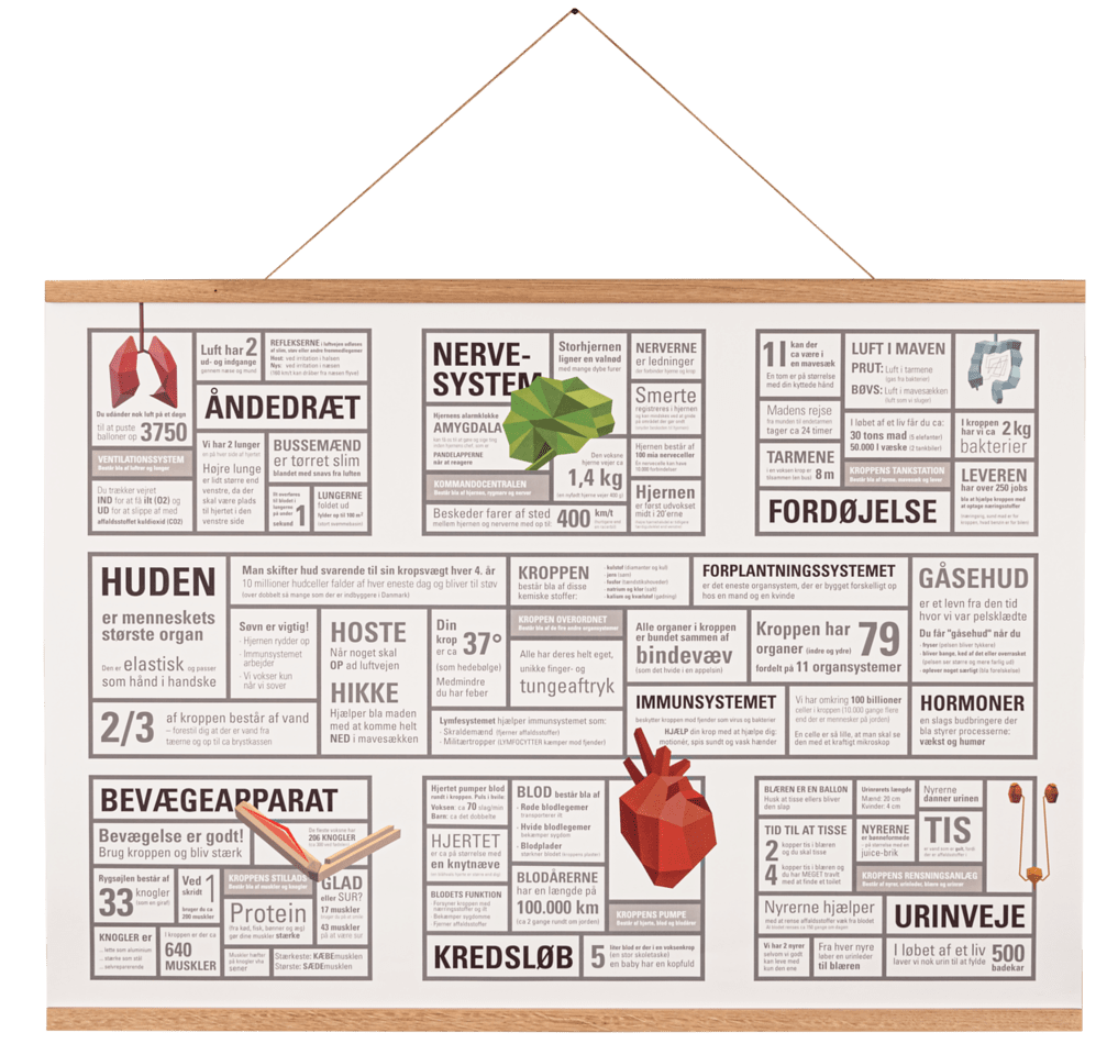 Designed Learning Krops plakat & 5-i-1 kortspil