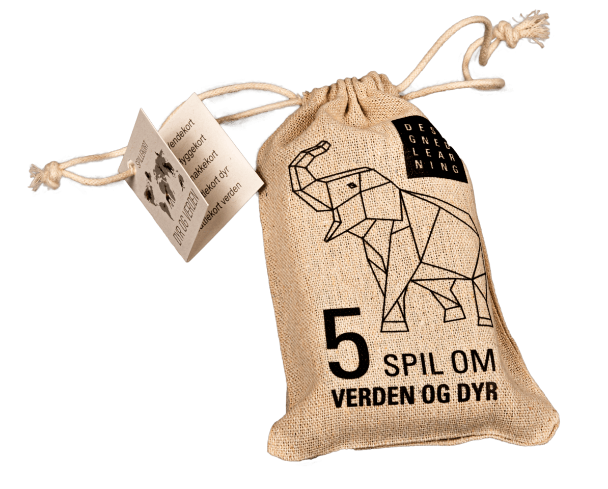 Designed Learning Verdens plakat & 5-i-1 kortspil