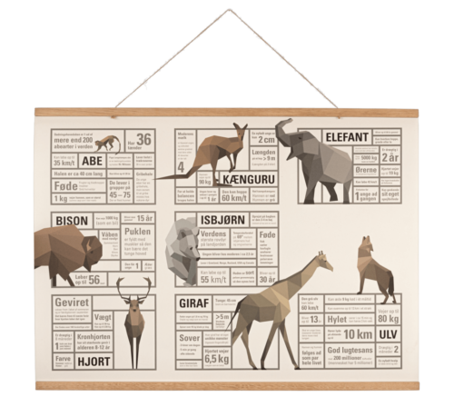 Designed Learning Verdens plakat & 5-i-1 kortspil