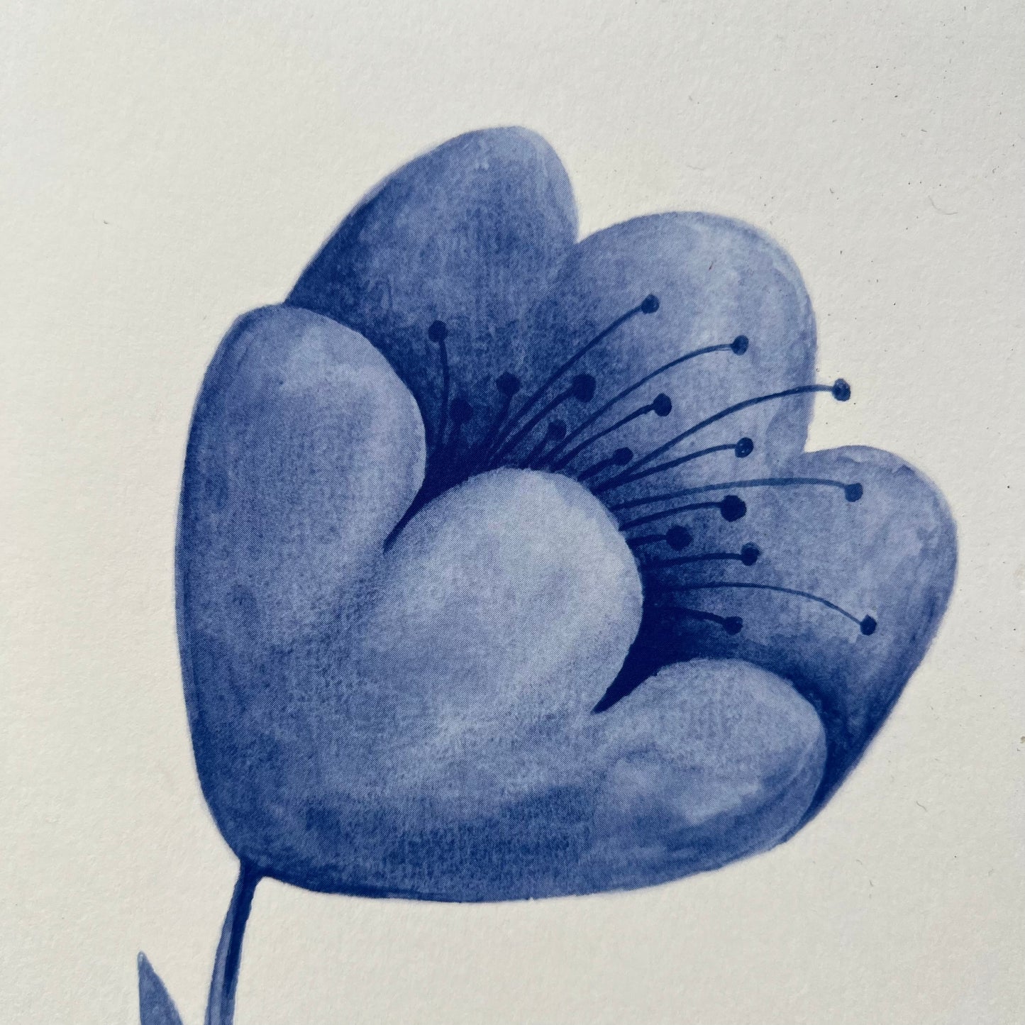 Blå blomst / Kort