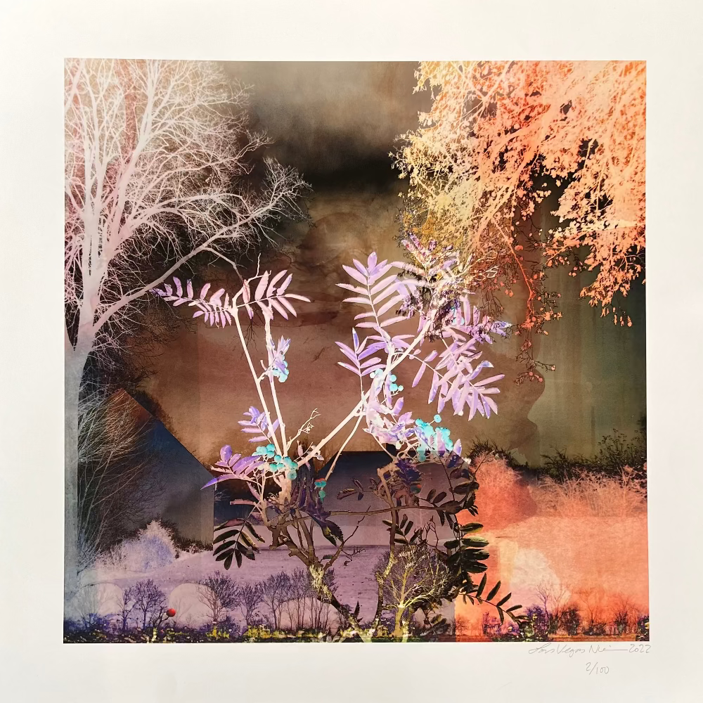 Kunsttryk / House by the trees 2 / Lars Vegas. Fotokunst collage af Lars Vegas med bløde lilla og rosa toner, naturmotiver og lag af træer og bygninger i drømmende komposition.