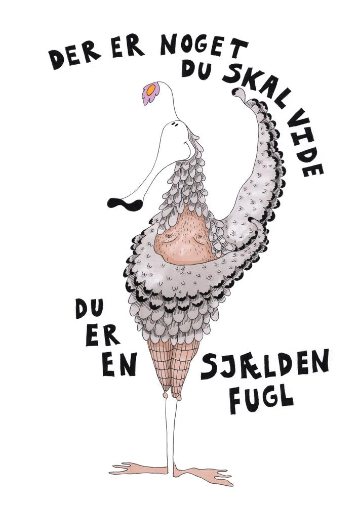 Chimi Changa plakat - Sjælden Fugl