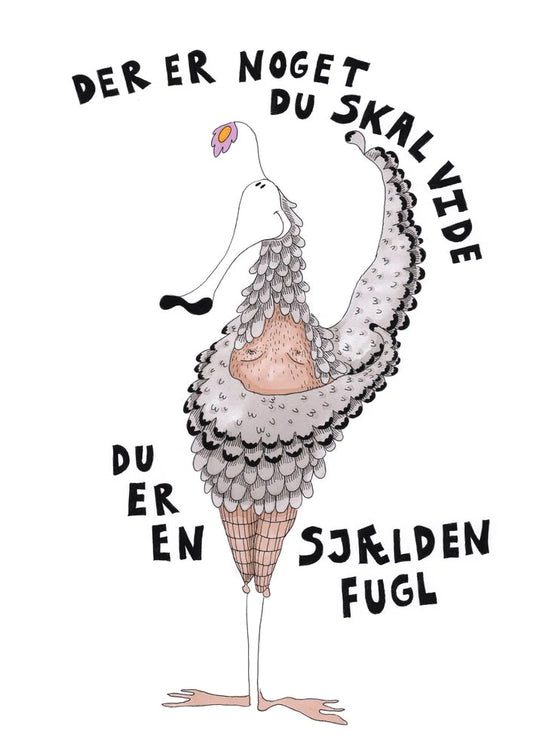 Chimi Changa plakat - Sjælden Fugl
