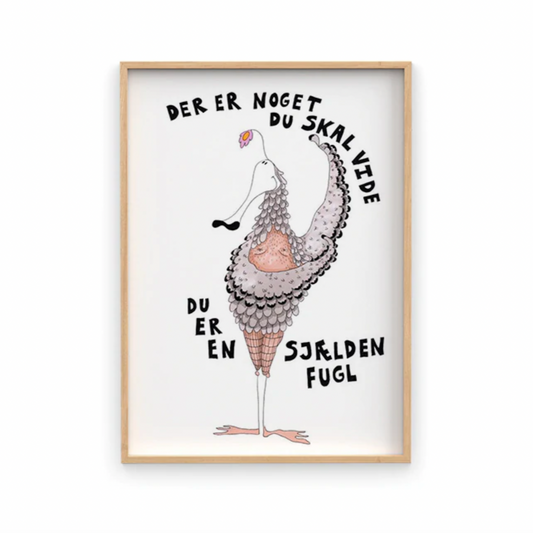 Chimi Changa plakat - Sjælden Fugl