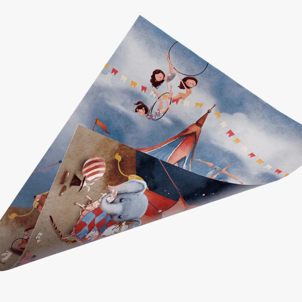 Moodswing 2 i 1 plakat - Cirkus Dag & Nat