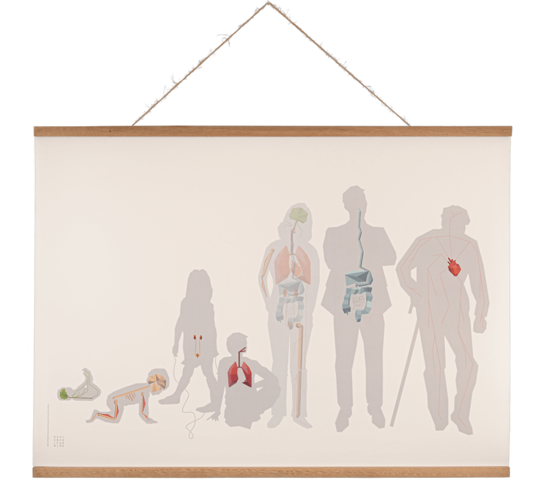 Designed Learning Krops plakat & 5-i-1 kortspil